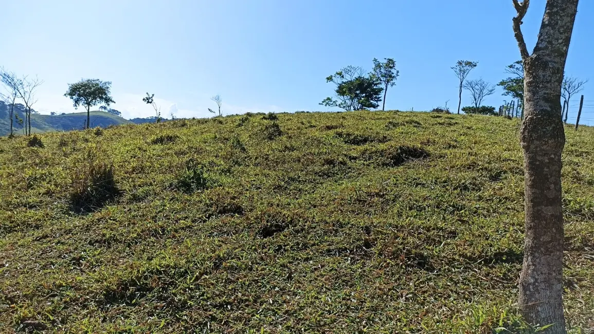 Foto 16 de Chácara à venda, 20m2 em Jambeiro - SP