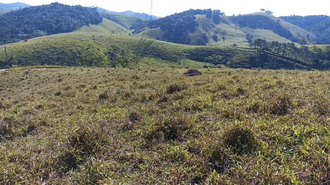 Chácara à venda, 20m2 em Jambeiro - SP - imagem 5 Foto 5 de Chácara à venda, 20m2 em Jambeiro - SP