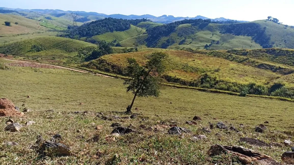 Chácara com 2 quartos à venda, 200m2 em Jambeiro - SP - imagem 5 Foto 5 de Chácara com 2 quartos à venda, 200m2 em Jambeiro - SP