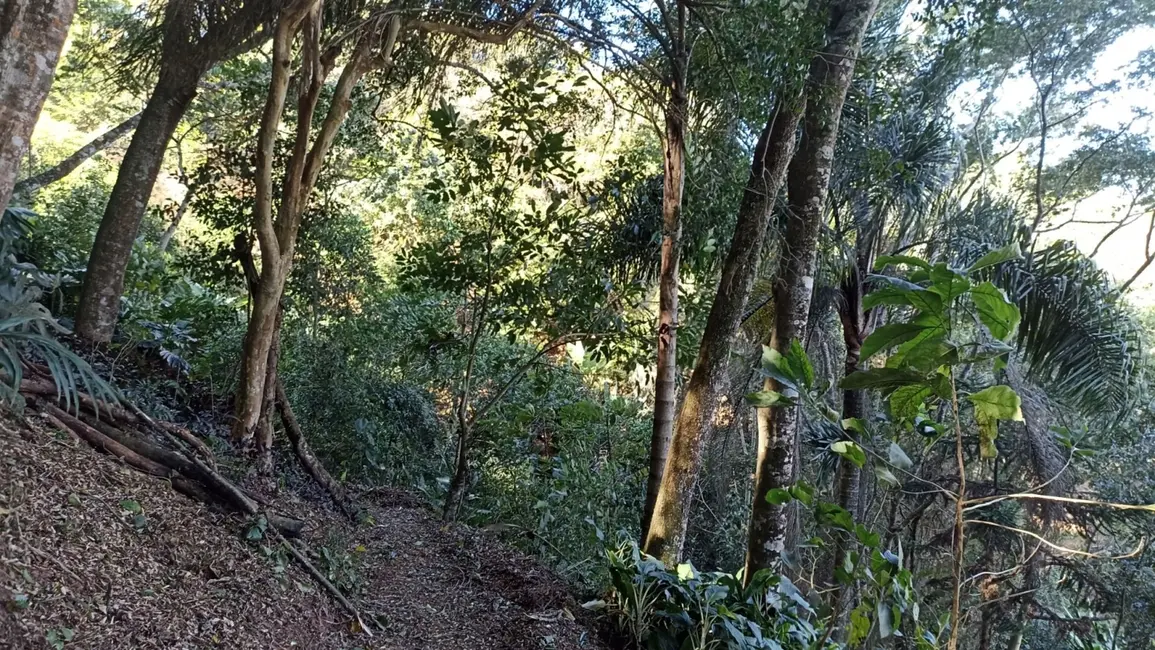 Chácara com 3 quartos à venda, 200m2 em Jambeiro - SP - imagem 5 Foto 5 de Chácara com 3 quartos à venda, 200m2 em Jambeiro - SP