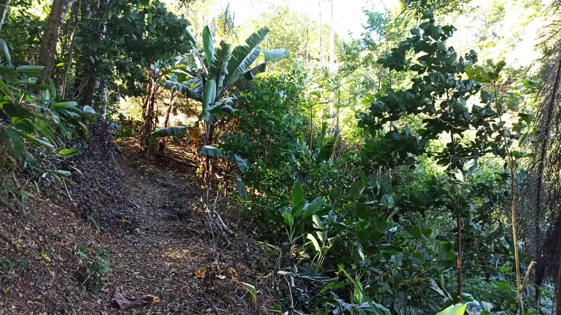 Chácara com 3 quartos à venda, 200m2 em Jambeiro - SP - imagem 6 Foto 6 de Chácara com 3 quartos à venda, 200m2 em Jambeiro - SP