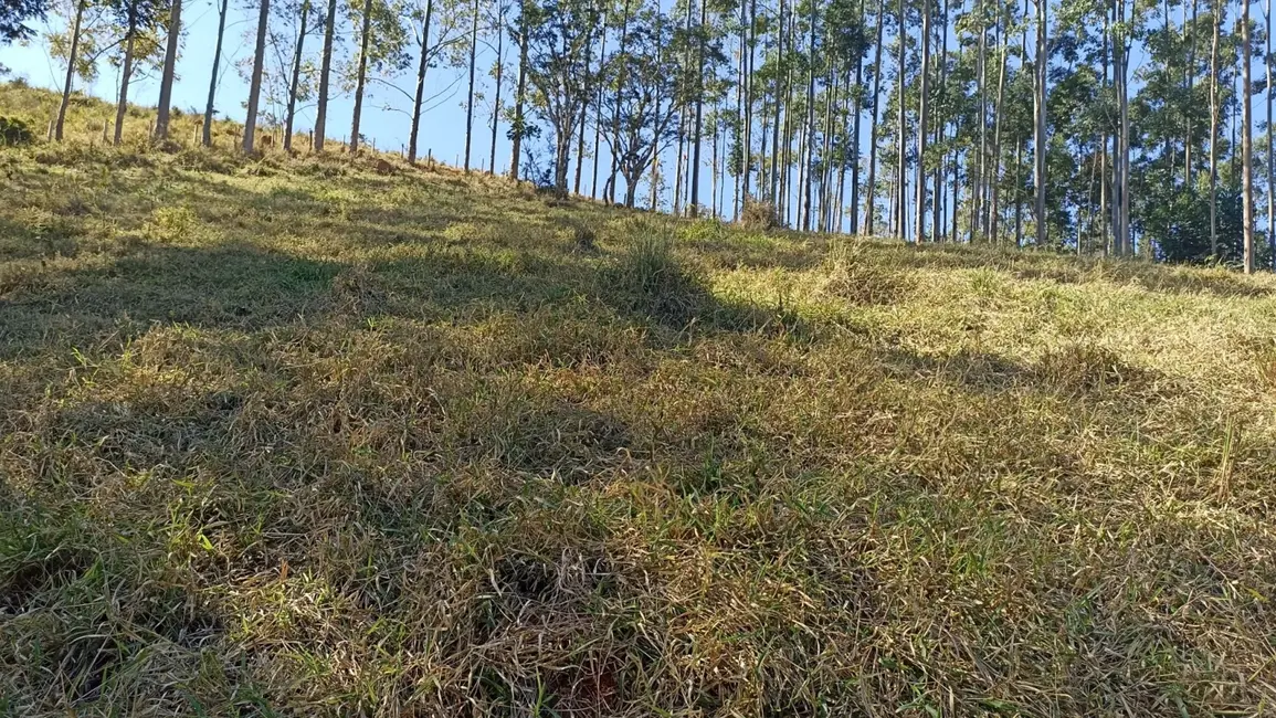 Chácara com 2 quartos à venda, 100m2 em Centro, Paraibuna - SP - imagem 7 Foto 7 de Chácara com 2 quartos à venda, 100m2 em Centro, Paraibuna - SP