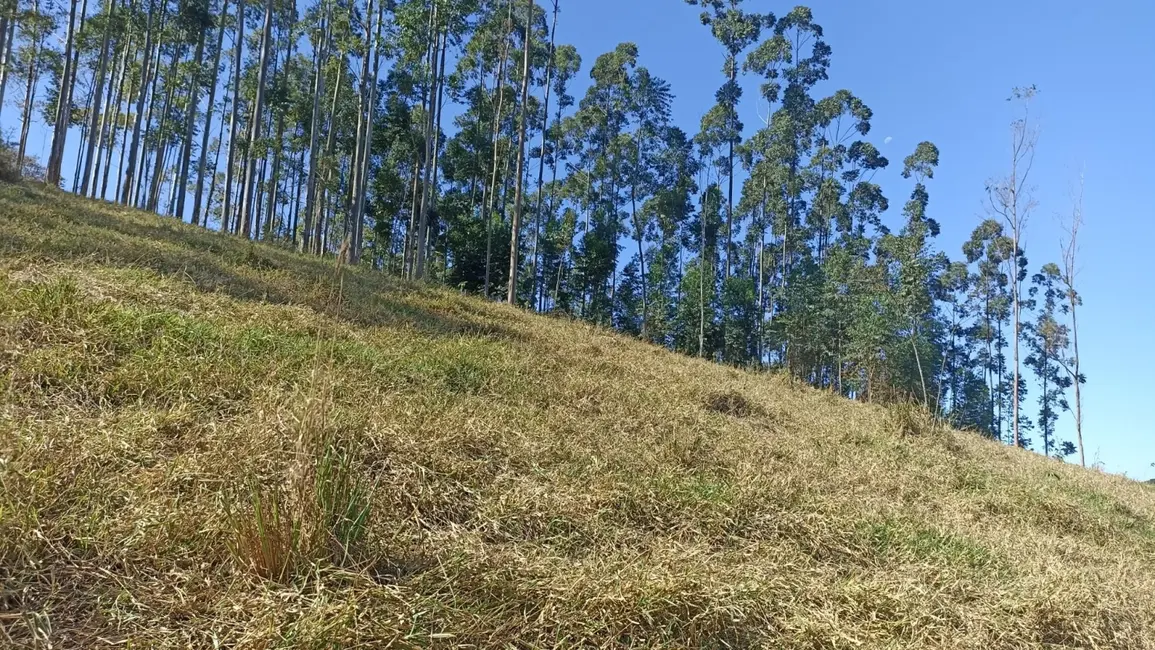 Chácara com 2 quartos à venda, 100m2 em Centro, Paraibuna - SP - imagem 6 Foto 6 de Chácara com 2 quartos à venda, 100m2 em Centro, Paraibuna - SP