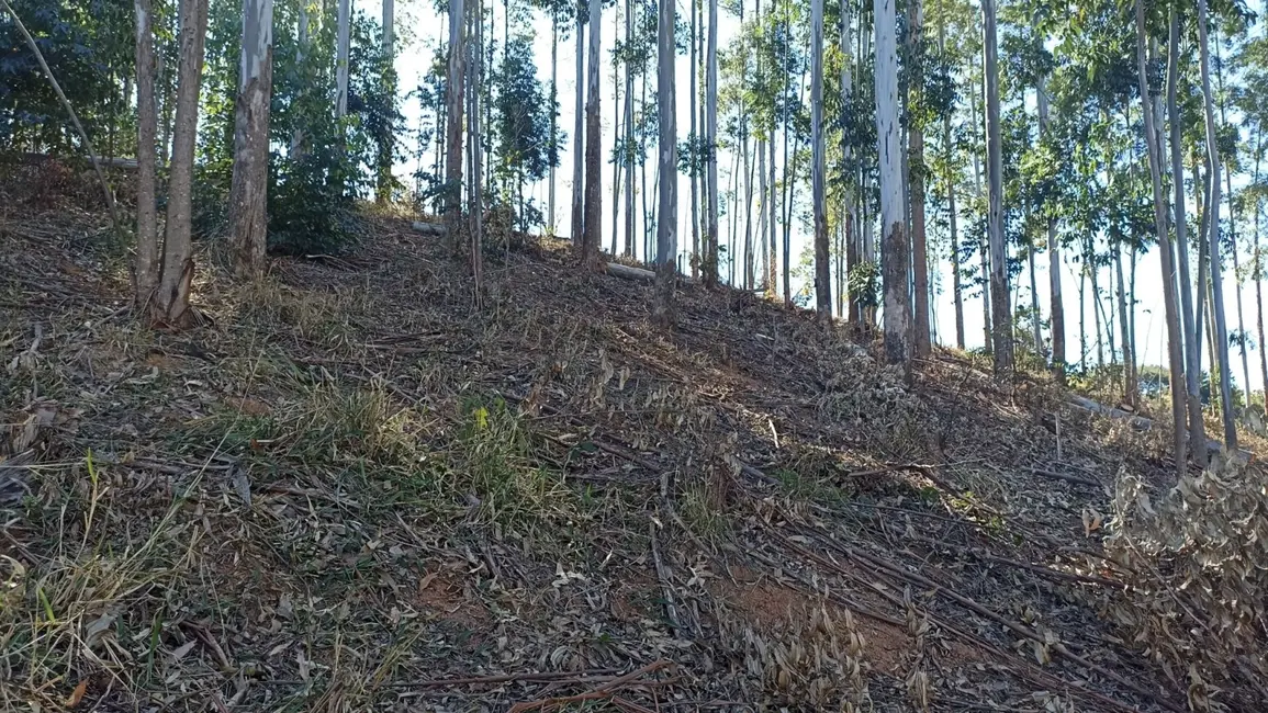 Chácara com 2 quartos à venda, 100m2 em Centro, Paraibuna - SP - imagem 2 Foto 2 de Chácara com 2 quartos à venda, 100m2 em Centro, Paraibuna - SP