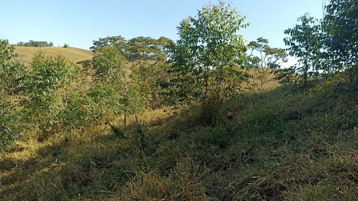 Chácara com 2 quartos à venda, 100m2 em Centro, Paraibuna - SP - imagem 3 Foto 3 de Chácara com 2 quartos à venda, 100m2 em Centro, Paraibuna - SP