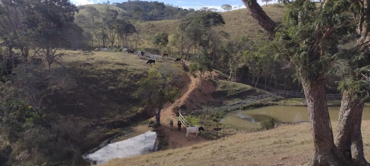 Foto 2 de Sítio / Rancho com 1 quarto à venda, 100m2 em Vila São José, Guaratingueta - SP