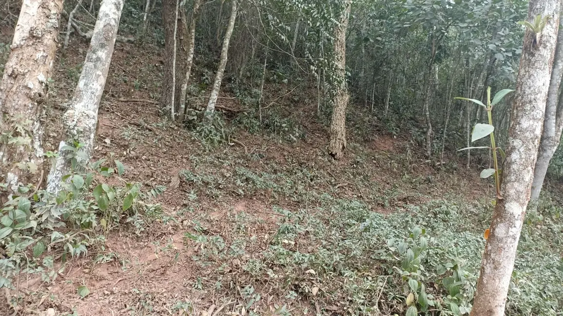 Sítio / Rancho com 2 quartos à venda, 250m2 em Centro, Paraibuna - SP - imagem 4 Foto 4 de Sítio / Rancho com 2 quartos à venda, 250m2 em Centro, Paraibuna - SP