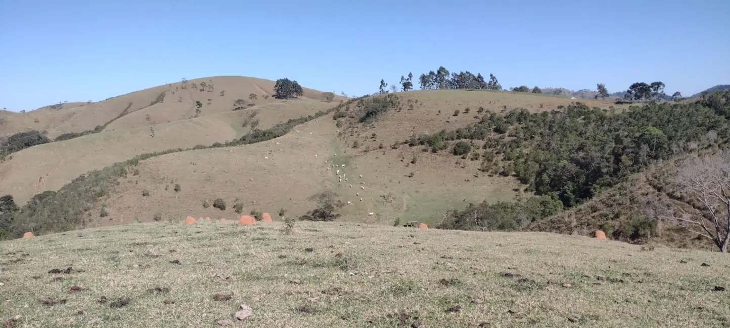Foto 9 de Fazenda / Haras com 1 quarto à venda, 100m2 em Centro, Guaratingueta - SP