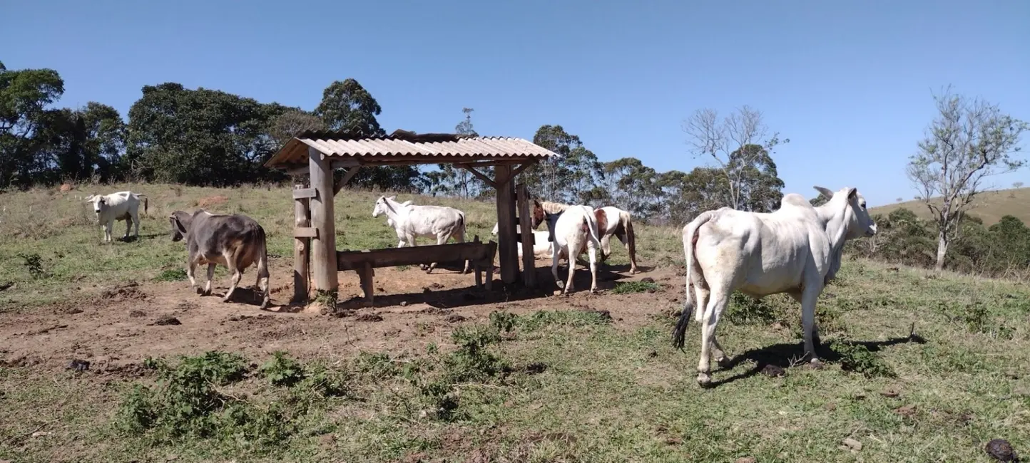 Foto 1 de Fazenda / Haras com 1 quarto à venda, 100m2 em Centro, Guaratingueta - SP