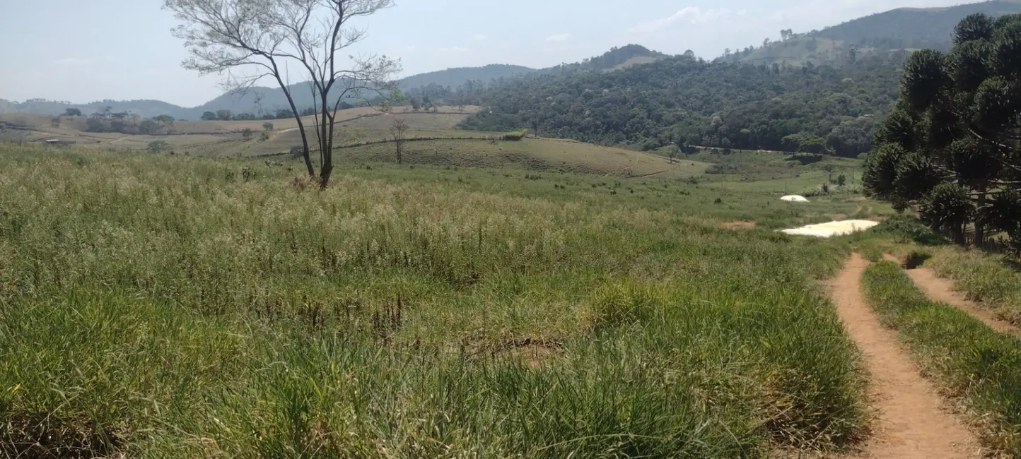 Foto 5 de Fazenda / Haras com 3 quartos à venda, 100m2 em Centro, Guaratingueta - SP
