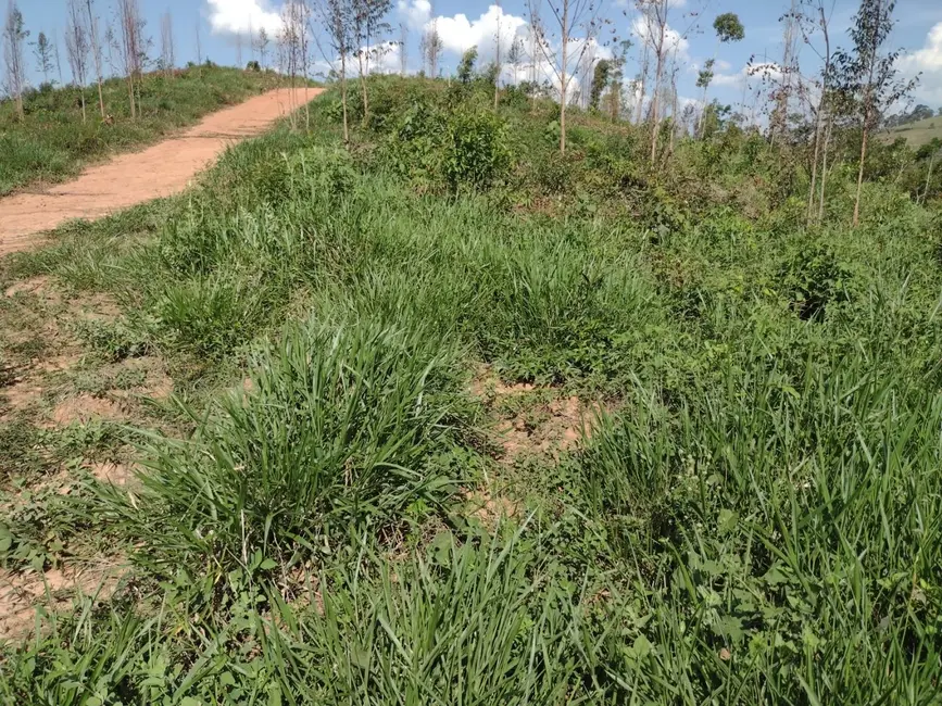 Foto 7 de Fazenda / Haras com 3 quartos à venda, 100m2 em Centro, Guaratingueta - SP