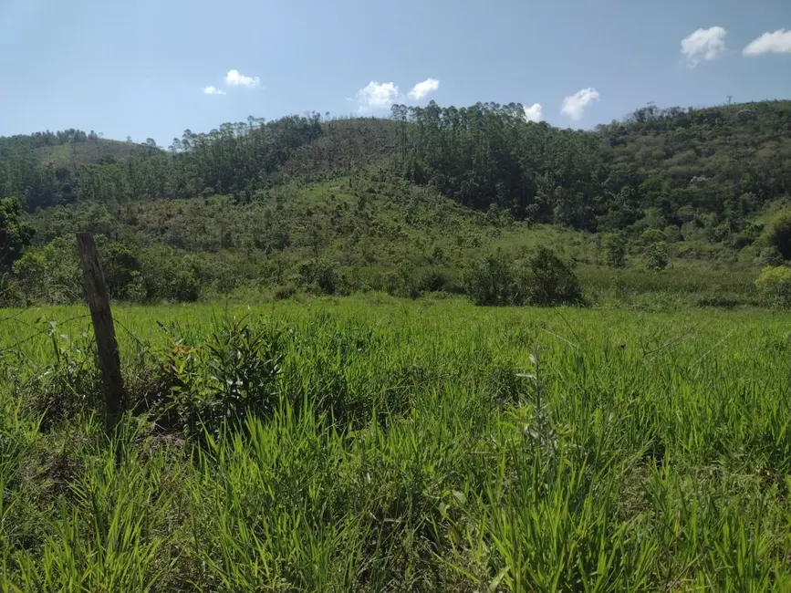 Foto 8 de Fazenda / Haras com 3 quartos à venda, 100m2 em Centro, Guaratingueta - SP