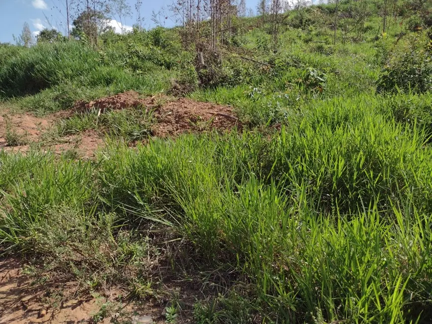 Foto 6 de Fazenda / Haras com 3 quartos à venda, 100m2 em Centro, Guaratingueta - SP