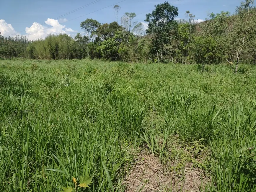 Foto 5 de Fazenda / Haras com 3 quartos à venda, 100m2 em Centro, Guaratingueta - SP