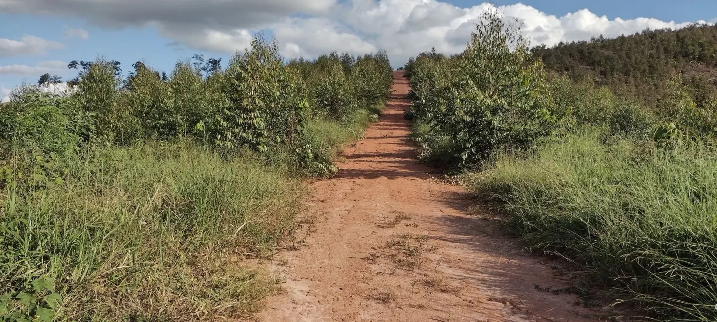 Foto 4 de Fazenda / Haras com 3 quartos à venda, 100m2 em Centro, Guaratingueta - SP