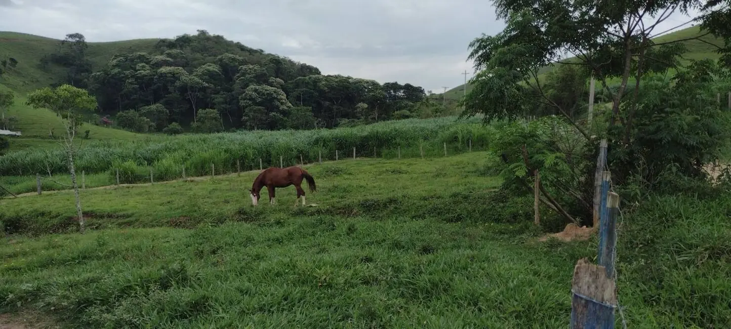 Foto 7 de Chácara com 3 quartos à venda, 100m2 em Centro, Guaratingueta - SP