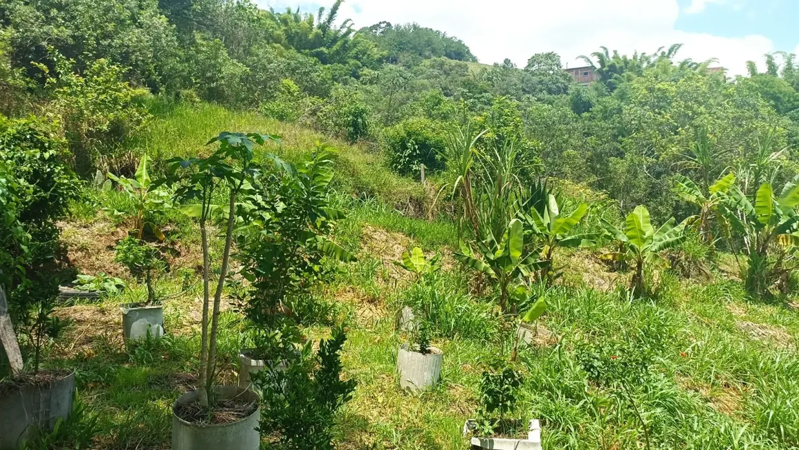 Foto 9 de Sítio / Rancho com 4 quartos à venda, 400m2 em Centro, Jambeiro - SP