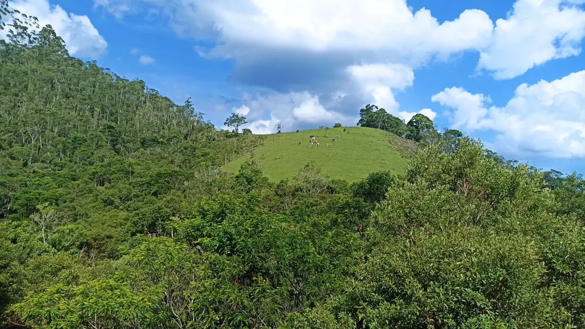 Sítio / Rancho com 2 quartos à venda, 350m2 em Paraibuna - SP - imagem 3 Foto 3 de Sítio / Rancho com 2 quartos à venda, 350m2 em Paraibuna - SP