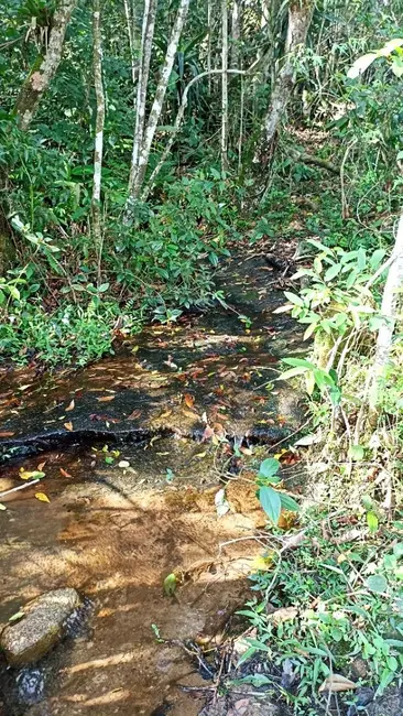 Sítio / Rancho com 2 quartos à venda, 350m2 em Paraibuna - SP - imagem 9 Foto 9 de Sítio / Rancho com 2 quartos à venda, 350m2 em Paraibuna - SP