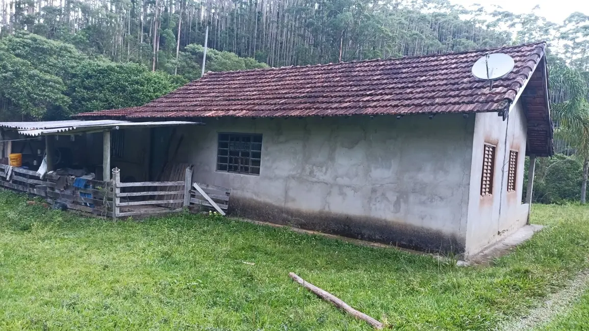 Sítio / Rancho com 2 quartos à venda, 350m2 em Paraibuna - SP - imagem 7 Foto 7 de Sítio / Rancho com 2 quartos à venda, 350m2 em Paraibuna - SP