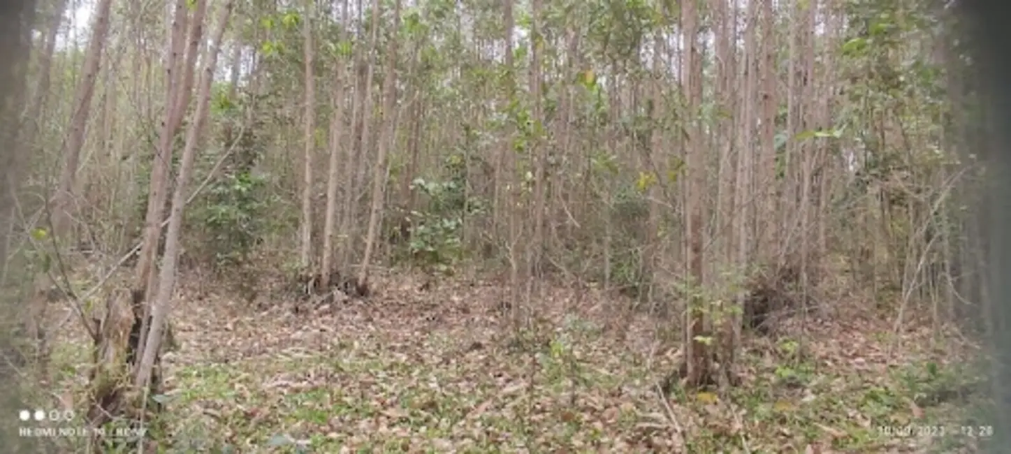 Sítio / Rancho com 2 quartos à venda, 150m2 em Centro, Paraibuna - SP - imagem 4 Foto 4 de Sítio / Rancho com 2 quartos à venda, 150m2 em Centro, Paraibuna - SP