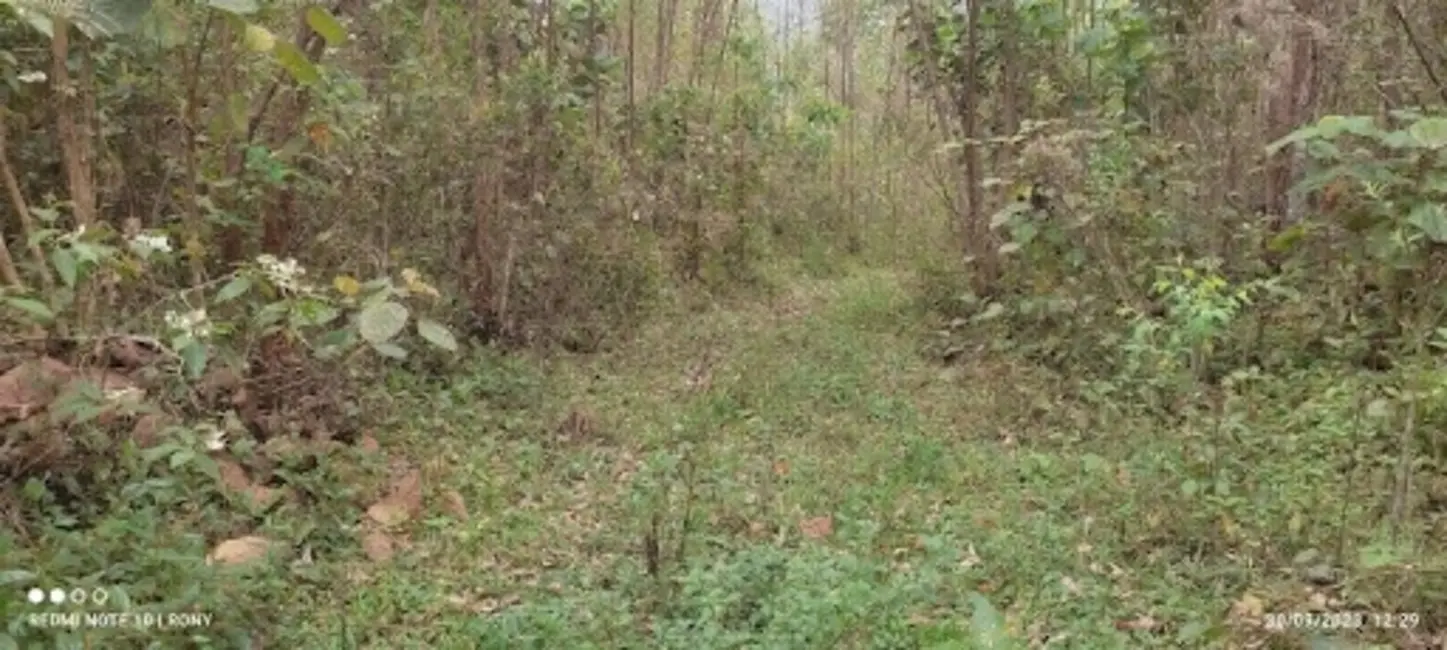 Sítio / Rancho com 2 quartos à venda, 150m2 em Centro, Paraibuna - SP - imagem 5 Foto 5 de Sítio / Rancho com 2 quartos à venda, 150m2 em Centro, Paraibuna - SP