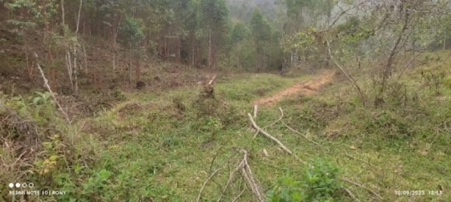 Sítio / Rancho com 2 quartos à venda, 150m2 em Centro, Paraibuna - SP - imagem 7 Foto 7 de Sítio / Rancho com 2 quartos à venda, 150m2 em Centro, Paraibuna - SP
