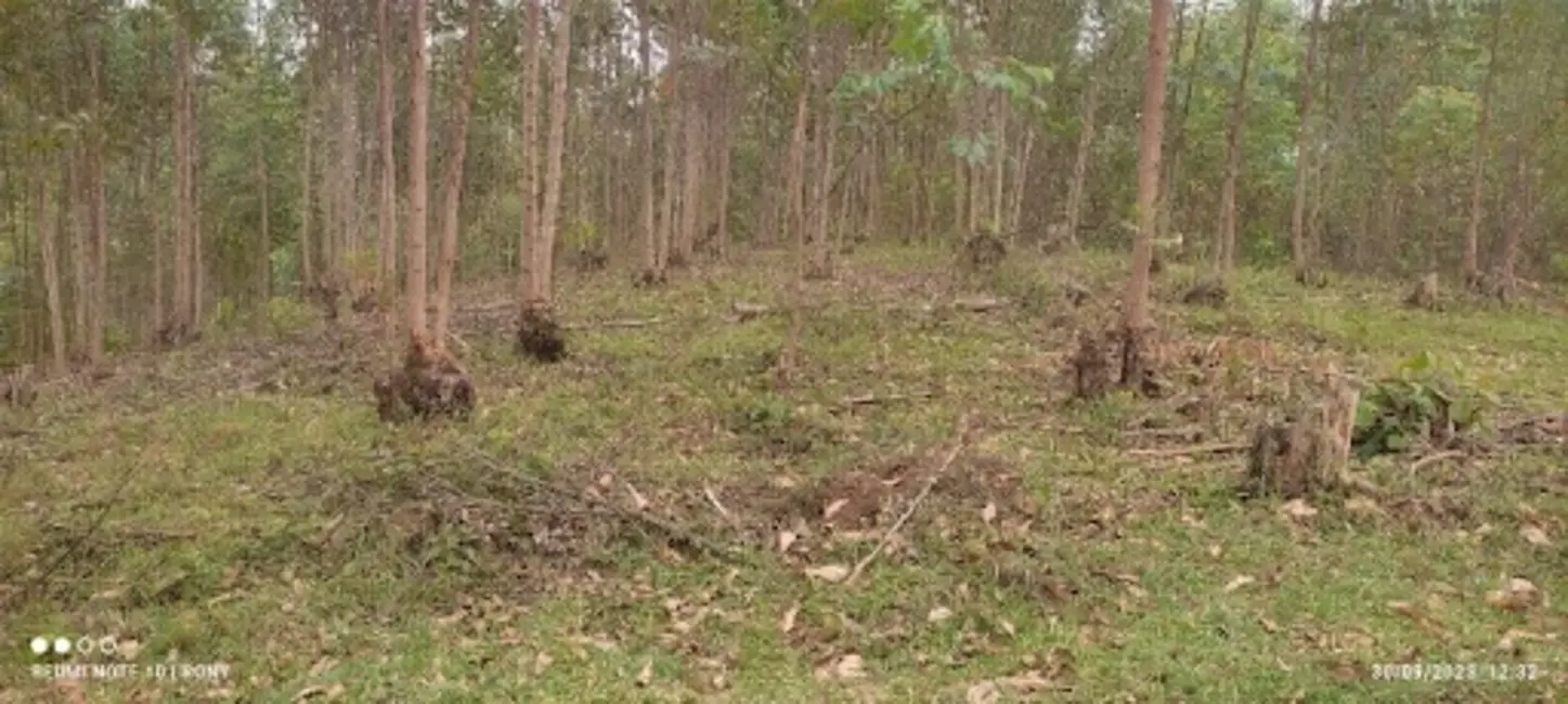 Sítio / Rancho com 2 quartos à venda, 150m2 em Centro, Paraibuna - SP - imagem 9 Foto 9 de Sítio / Rancho com 2 quartos à venda, 150m2 em Centro, Paraibuna - SP