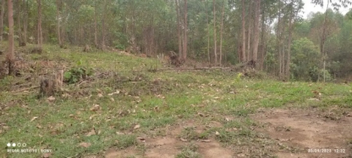 Sítio / Rancho com 2 quartos à venda, 150m2 em Centro, Paraibuna - SP - imagem 3 Foto 3 de Sítio / Rancho com 2 quartos à venda, 150m2 em Centro, Paraibuna - SP