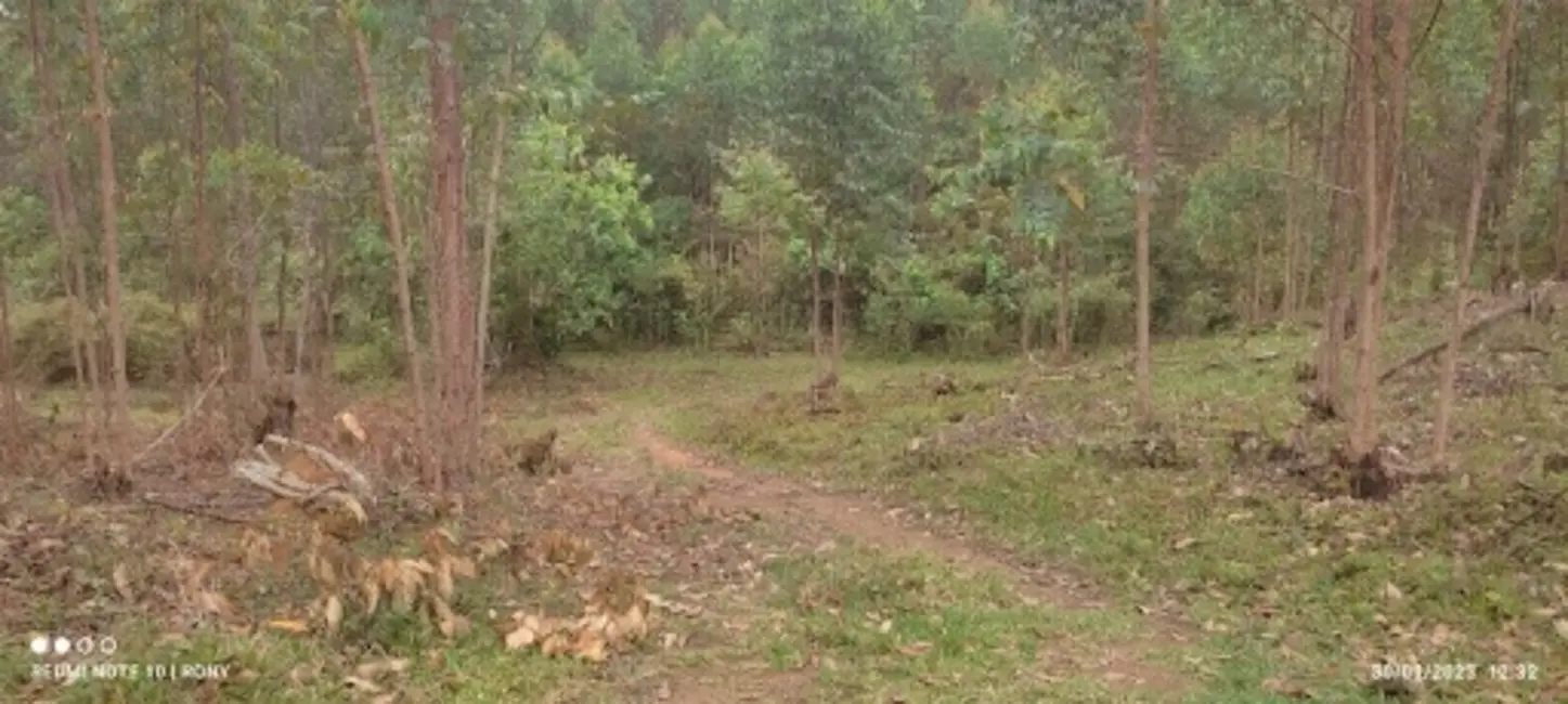Sítio / Rancho com 2 quartos à venda, 150m2 em Centro, Paraibuna - SP - imagem 2 Foto 2 de Sítio / Rancho com 2 quartos à venda, 150m2 em Centro, Paraibuna - SP