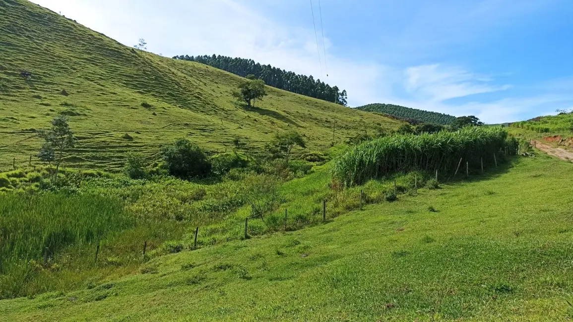 Fazenda / Haras com 3 quartos à venda, 42m2 em Centro, Paraibuna - SP - imagem 6 Foto 6 de Fazenda / Haras com 3 quartos à venda, 42m2 em Centro, Paraibuna - SP