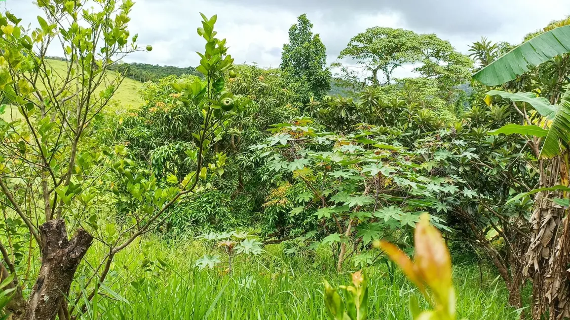 Chácara com 6 quartos à venda, 550m2 em Centro, Paraibuna - SP - imagem 5 Foto 5 de Chácara com 6 quartos à venda, 550m2 em Centro, Paraibuna - SP