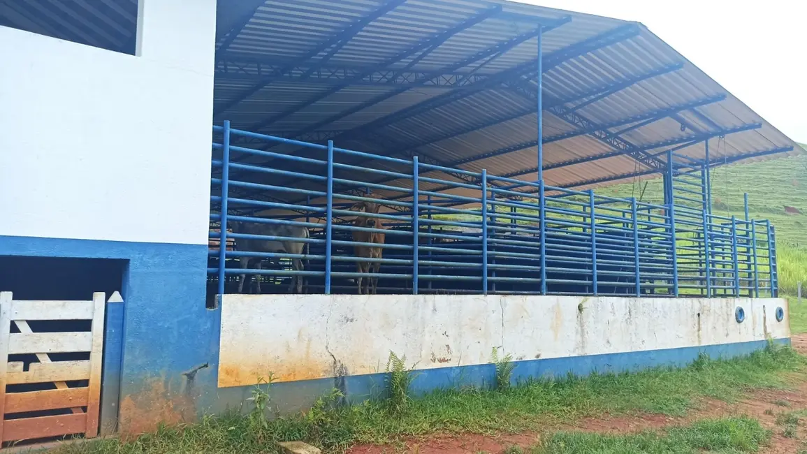 Fazenda / Haras com 3 quartos à venda, 300m2 em Sao Jose Dos Campos - SP - imagem 2 Foto 2 de Fazenda / Haras com 3 quartos à venda, 300m2 em Sao Jose Dos Campos - SP