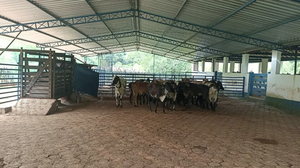 Fazenda / Haras com 3 quartos à venda, 300m2 em Sao Jose Dos Campos - SP - imagem 1 Foto 1 de Fazenda / Haras com 3 quartos à venda, 300m2 em Sao Jose Dos Campos - SP