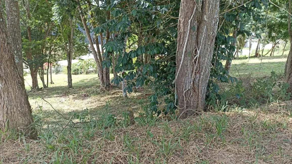 Foto 8 de Chácara à venda, 1000m2 em Jambeiro - SP