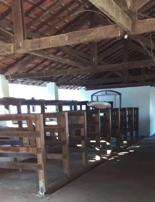 Foto 5 de Fazenda / Haras com 20 quartos à venda, 300000m2 em Braganca Paulista - SP