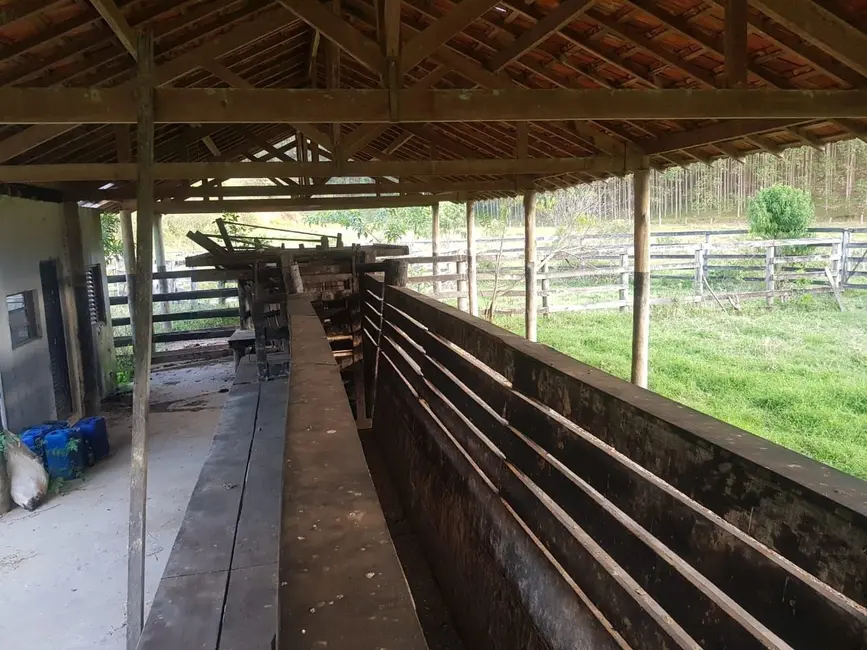 Fazenda / Haras com 10 quartos à venda, 500m2 em Centro, Paraibuna - SP - imagem 9 Foto 9 de Fazenda / Haras com 10 quartos à venda, 500m2 em Centro, Paraibuna - SP