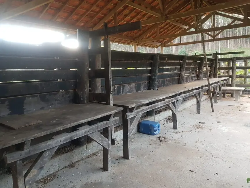 Fazenda / Haras com 10 quartos à venda, 500m2 em Centro, Paraibuna - SP - imagem 3 Foto 3 de Fazenda / Haras com 10 quartos à venda, 500m2 em Centro, Paraibuna - SP