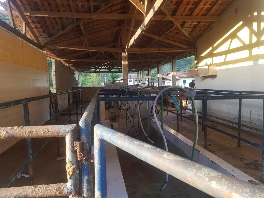 Fazenda / Haras com 10 quartos à venda, 500m2 em Centro, Paraibuna - SP - imagem 4 Foto 4 de Fazenda / Haras com 10 quartos à venda, 500m2 em Centro, Paraibuna - SP