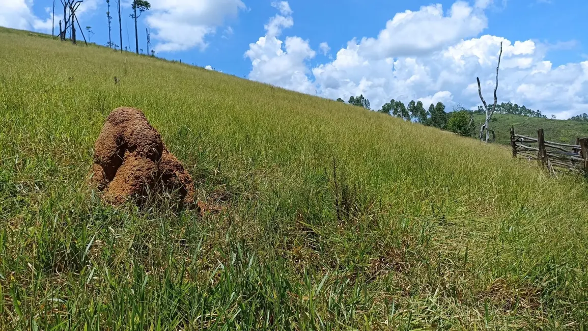Foto 4 de Chácara à venda, 200m2 em Centro, Paraibuna - SP