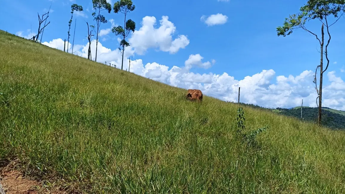 Foto 6 de Chácara à venda, 200m2 em Centro, Paraibuna - SP