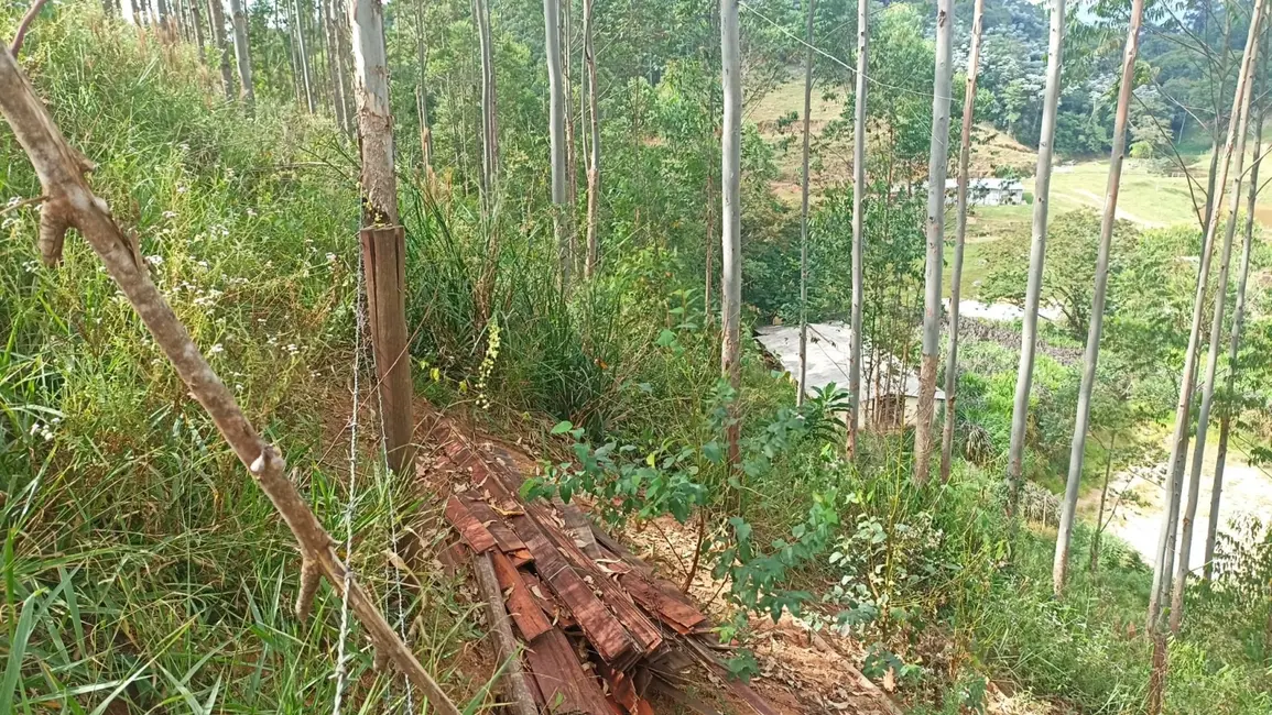 Chácara com 4 quartos à venda, 20m2 em Centro, Paraibuna - SP - imagem 2 Foto 2 de Chácara com 4 quartos à venda, 20m2 em Centro, Paraibuna - SP