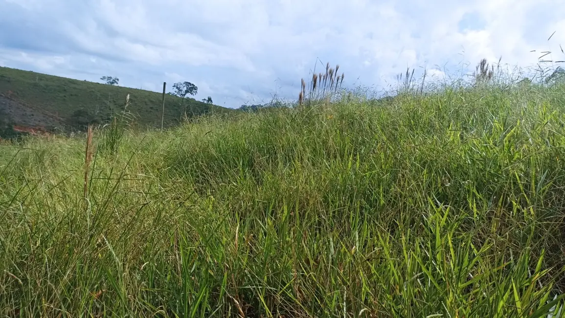Chácara com 4 quartos à venda, 500m2 em Centro, Paraibuna - SP - imagem 4 Foto 4 de Chácara com 4 quartos à venda, 500m2 em Centro, Paraibuna - SP