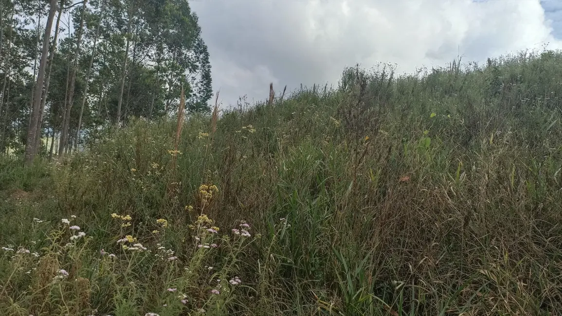 Chácara com 4 quartos à venda, 500m2 em Centro, Paraibuna - SP - imagem 5 Foto 5 de Chácara com 4 quartos à venda, 500m2 em Centro, Paraibuna - SP