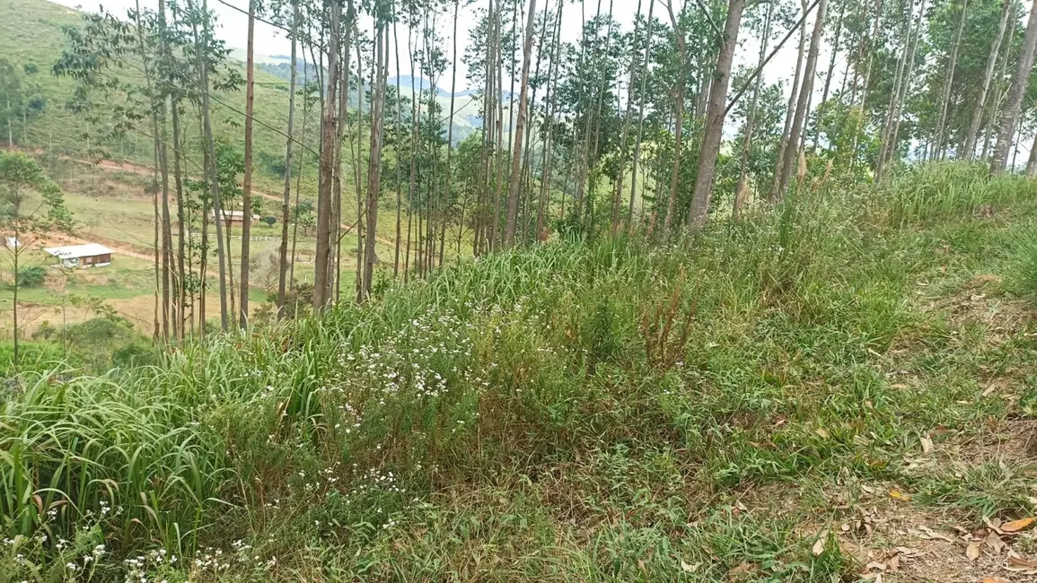 Chácara com 4 quartos à venda, 500m2 em Centro, Paraibuna - SP - imagem 6 Foto 6 de Chácara com 4 quartos à venda, 500m2 em Centro, Paraibuna - SP
