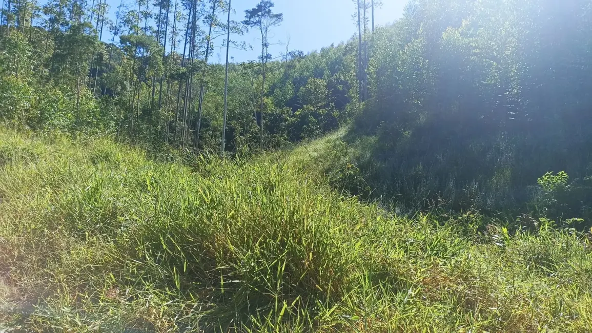 Sítio / Rancho com 1 quarto à venda, 200m2 em Paraibuna - SP - imagem 7 Foto 7 de Sítio / Rancho com 1 quarto à venda, 200m2 em Paraibuna - SP