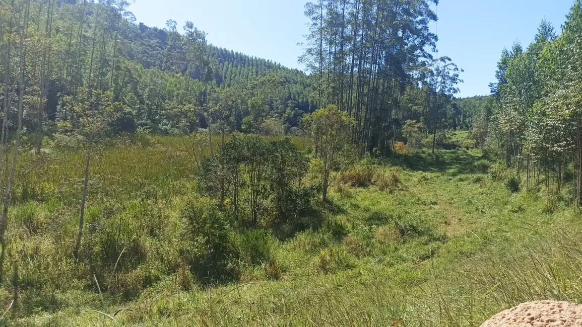 Sítio / Rancho com 1 quarto à venda, 200m2 em Paraibuna - SP - imagem 3 Foto 3 de Sítio / Rancho com 1 quarto à venda, 200m2 em Paraibuna - SP