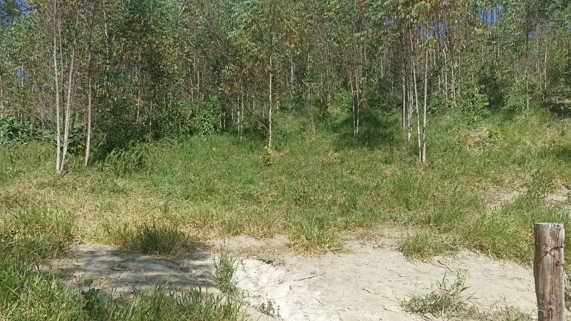 Sítio / Rancho com 1 quarto à venda, 200m2 em Paraibuna - SP - imagem 6 Foto 6 de Sítio / Rancho com 1 quarto à venda, 200m2 em Paraibuna - SP