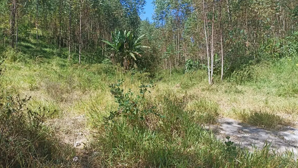 Sítio / Rancho com 1 quarto à venda, 200m2 em Paraibuna - SP - imagem 9 Foto 9 de Sítio / Rancho com 1 quarto à venda, 200m2 em Paraibuna - SP