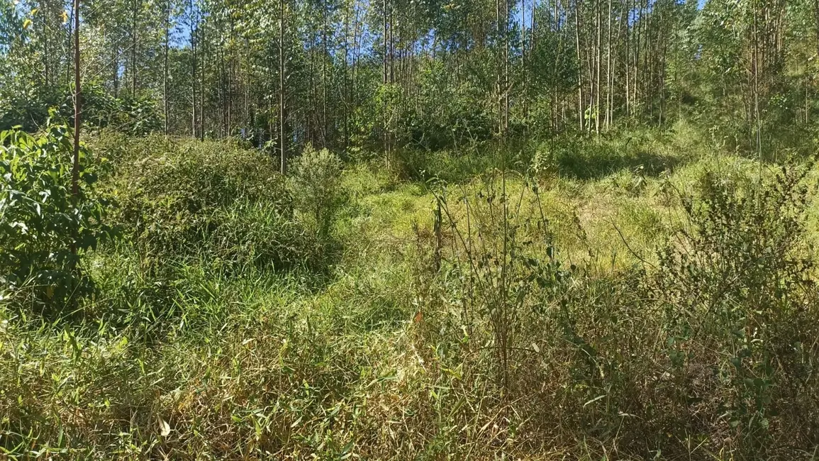 Sítio / Rancho com 1 quarto à venda, 200m2 em Paraibuna - SP - imagem 5 Foto 5 de Sítio / Rancho com 1 quarto à venda, 200m2 em Paraibuna - SP